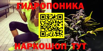 гашиш Обь