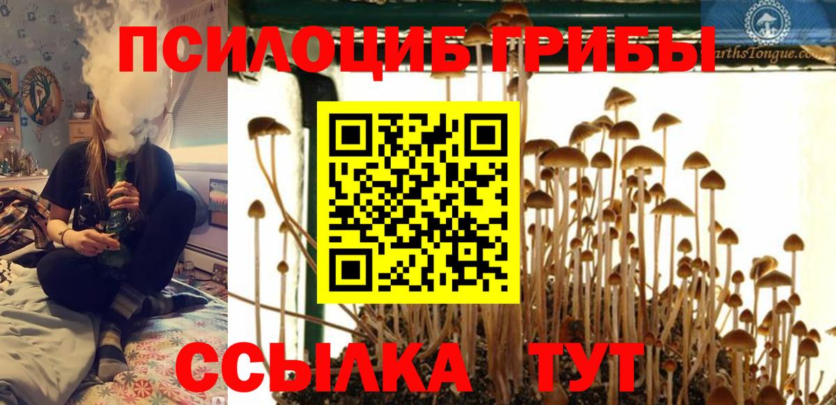Псилоцибиновые грибы мухоморы Сочи